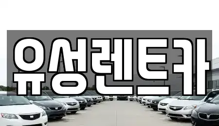 경상남도 창원시 성산구 삼동동 렌트카 전문 유성렌트카