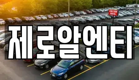 경상남도 창원시 성산구 삼동동 렌트카 전문 제로알엔티