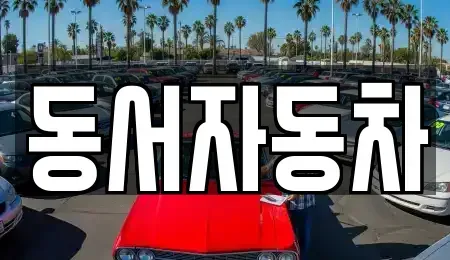 경상남도 창원시 성산구 삼동동 중고차매매,단기렌트카,중고차매입,장기렌트카,중고차,렌트카