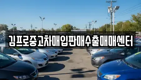 경상남도 창원시 성산구 삼동동 중고차매입 전문 김프로중고차매입판매수출매매센터