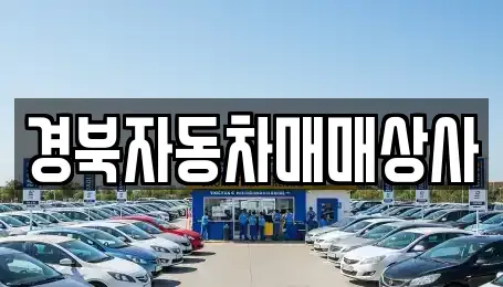 경상북도 김천시 양천동 중고차매매 전문 경북자동차매매상사