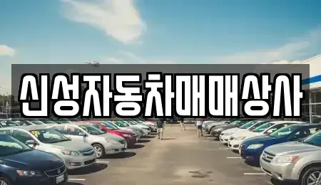 경상북도 김천시 양천동 중고차매매 전문 신성자동차매매상사