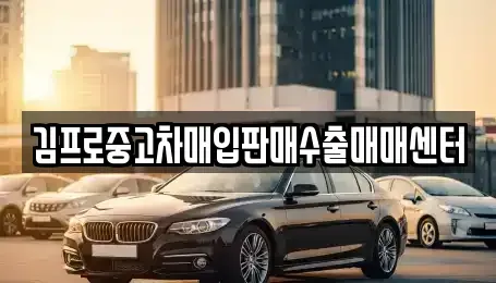 경상북도 김천시 양천동 단기렌트카,중고차매입,중고차매매,중고차,렌트카,장기렌트카