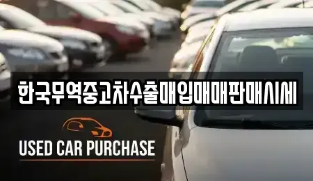경상북도 김천시 양천동 중고차매입 전문 한국무역중고차수출매입매매판매시세