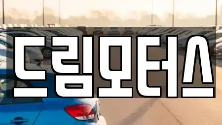 경상북도 영주시 하망동 중고차매매 전문 드림모터스