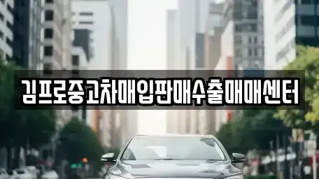 경상북도 울진군 울진읍 중고차 전문 김프로중고차매입판매수출매매센터