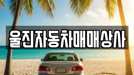 경상북도 울진군 울진읍 중고차,렌트카,중고차매입,중고차매매,장기렌트카,단기렌트카
