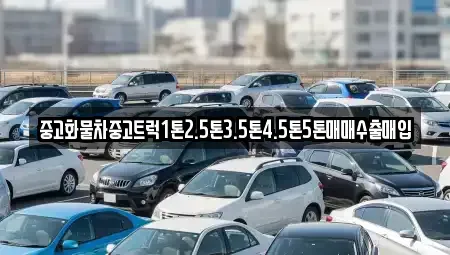 경상북도 의성군 금성면 중고차,렌트카,중고차매입,중고차매매,장기렌트카,단기렌트카
