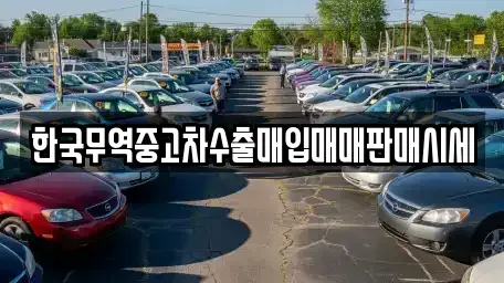 경상북도 의성군 금성면 중고차 전문 한국무역중고차수출매입매매판매시세