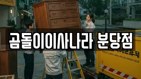 곰돌이이사나라 분당점