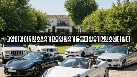 광주 광산구 신동 중고차,렌트카,중고차매입,중고차매매,장기렌트카,단기렌트카