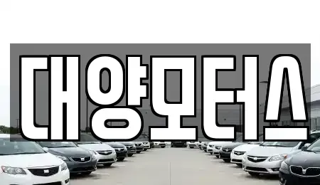 광주 광산구 신동 중고차 전문 대양모터스