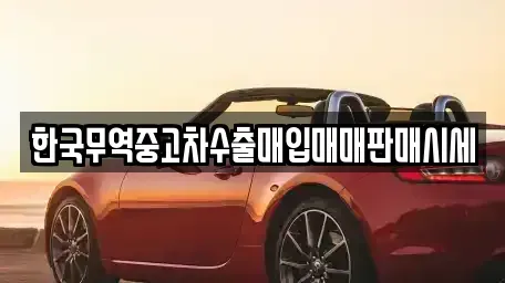 광주 북구 양산동 중고차 전문 한국무역중고차수출매입매매판매시세