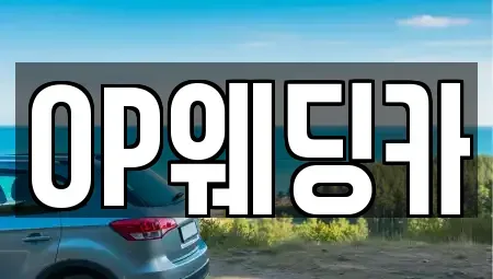 광주광역시 광산구 비아동 렌트카 전문 OP웨딩카
