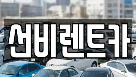 광주광역시 광산구 비아동 렌트카 전문 선비렌트카