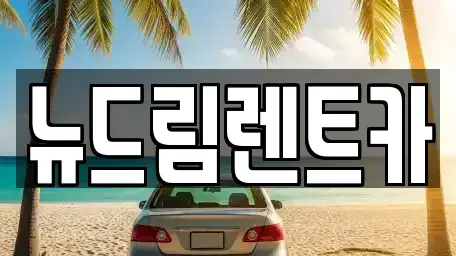 광주광역시 광산구 수완동 렌트카 전문 뉴드림렌트카