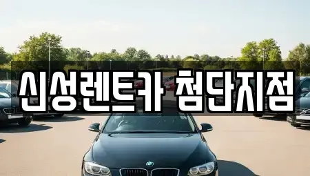 광주광역시 광산구 수완동 장기렌트카 전문 신성렌트카 첨단지점
