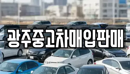 광주광역시 광산구 수완동 중고차 전문 광주중고차매입판매