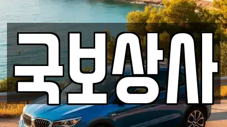 광주광역시 광산구 수완동 중고차 전문 국보상사