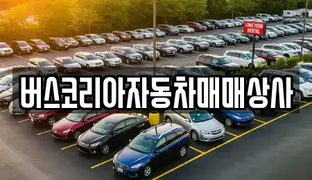 광주광역시 광산구 수완동 중고차,렌트카,중고차매입,중고차매매,장기렌트카,단기렌트카
