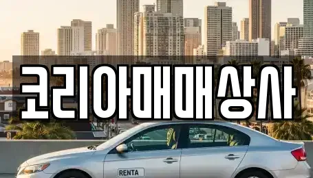 광주광역시 광산구 수완동 중고차매매 전문 코리아매매상사