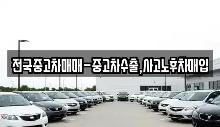 광주광역시 광산구 흑석동 중고차매입 전문 전국중고차매매-중고차수출,사고노후차매입