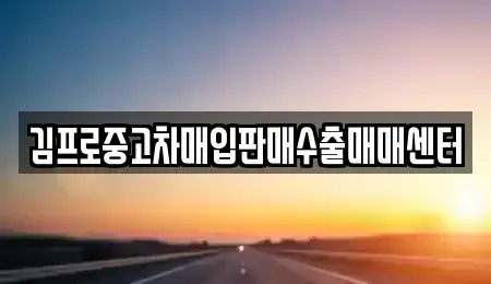 광주광역시 남구 서동 중고차 전문 김프로중고차매입판매수출매매센터
