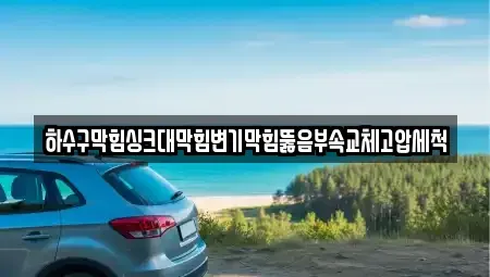 광주광역시 남구 서동 중고차 전문 하수구막힘싱크대막힘변기막힘뚫음부속교체고압세척