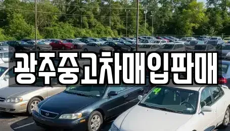 광주광역시 남구 서동 중고차매입 전문 광주중고차매입판매