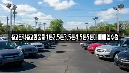 광주광역시 남구 신장동 중고차매매 전문 중고트럭중고화물차1톤2.5톤3.5톤4.5톤5톤매매매입수출