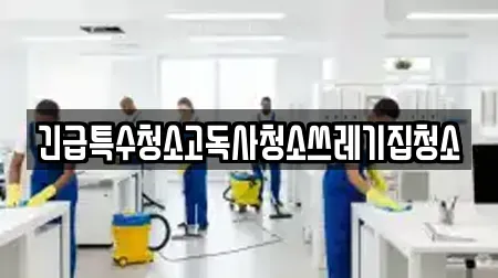 긴급특수청소고독사청소쓰레기집청소