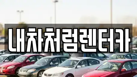대구 달성군 구지면 렌트카 전문 내차처럼렌터카