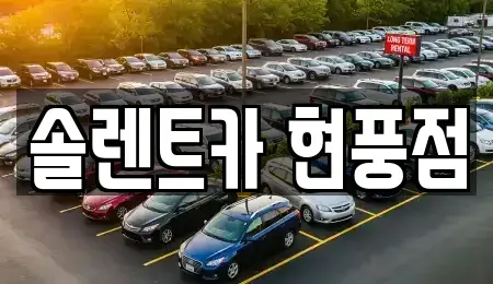 대구 달성군 구지면 렌트카 전문 솔렌트카 현풍점