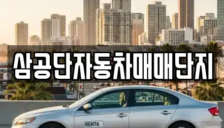 대구 북구 서변동 중고차매매 전문 삼공단자동차매매단지