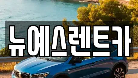 대구 수성구 가천동 렌트카 전문 뉴예스렌트카