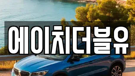 대구 수성구 가천동 렌트카 전문 에이치더블유
