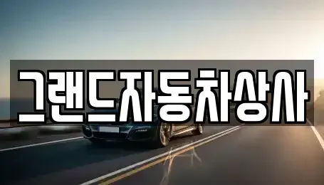 대구 수성구 가천동 중고차매매 전문 그랜드자동차상사