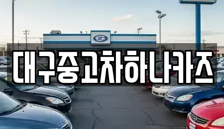 대구 수성구 가천동 중고차매매 전문 대구중고차하나카즈