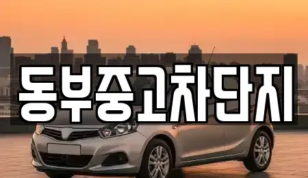 대구 수성구 가천동 중고차매매 전문 동부중고차단지