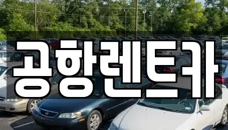 대구광역시 달서구 월성동 렌트카 전문 공항렌트카