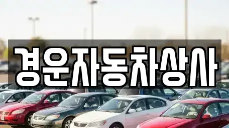 대구광역시 달서구 월성동 중고차 전문 경운자동차상사