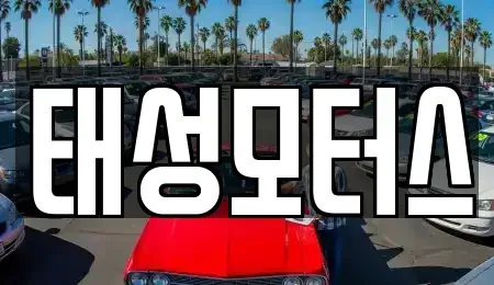 대구광역시 달서구 월성동 중고차 전문 태성모터스