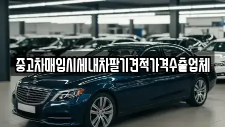 대구광역시 달서구 월성동 중고차매입 전문 중고차매입시세내차팔기견적가격수출업체