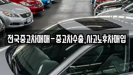 대구광역시 달서구 유천동 중고차매입 전문 전국중고차매매-중고차수출,사고노후차매입