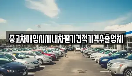 대구광역시 달서구 유천동 중고차매입 전문 중고차매입시세내차팔기견적가격수출업체
