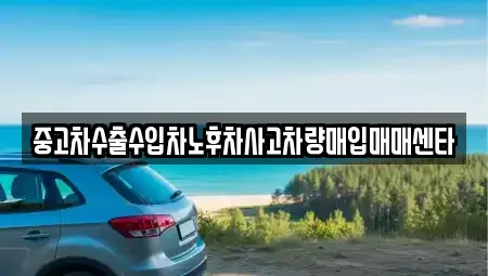 대구광역시 달서구 유천동 중고차매입 전문 중고차수출수입차노후차사고차량매입매매센타