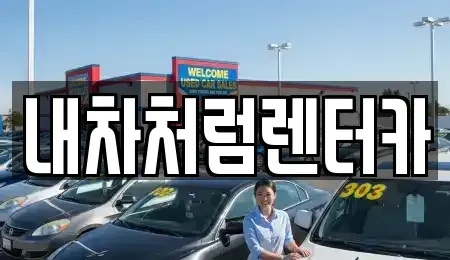 대구광역시 수성구 파동 렌트카 전문 내차처럼렌터카