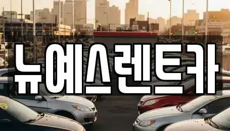 대구광역시 수성구 파동 렌트카 전문 뉴예스렌트카