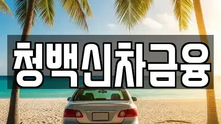 대구광역시 수성구 파동 렌트카 전문 청백신차금융