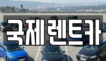대구광역시 수성구 파동 장기렌트카 전문 국제렌트카
